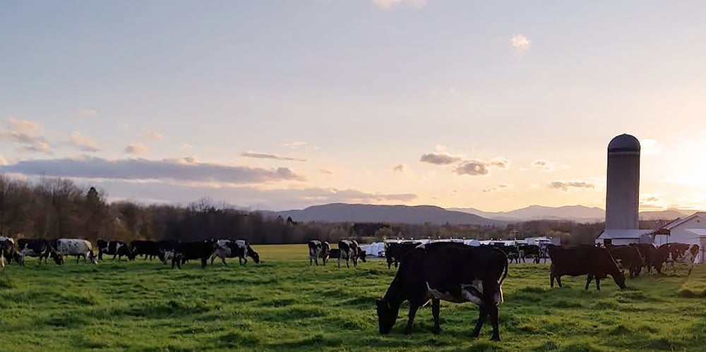 You are currently viewing What do you think of Kimball Brook Farm?