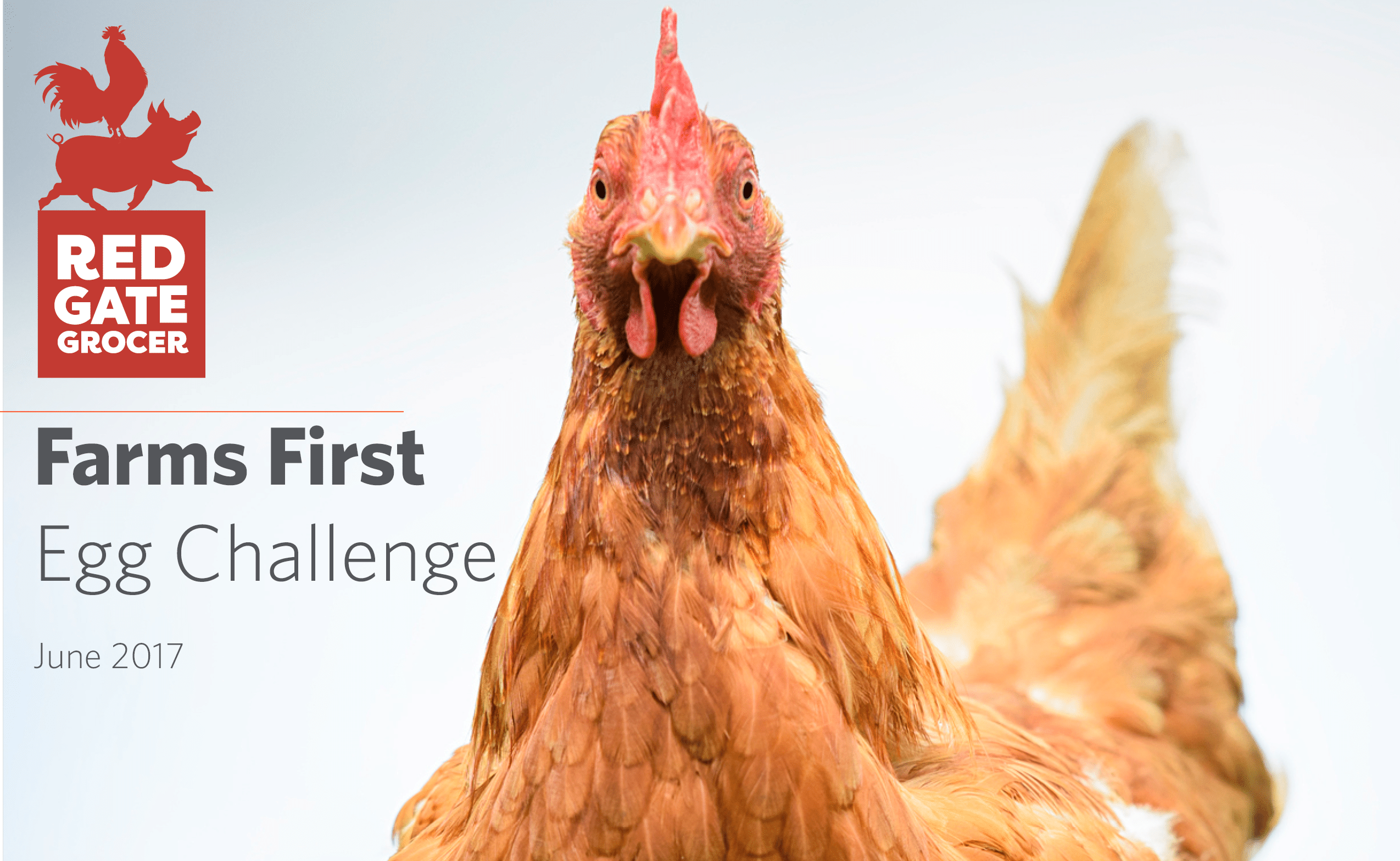 Read more about the article Farms First Egg Challenge