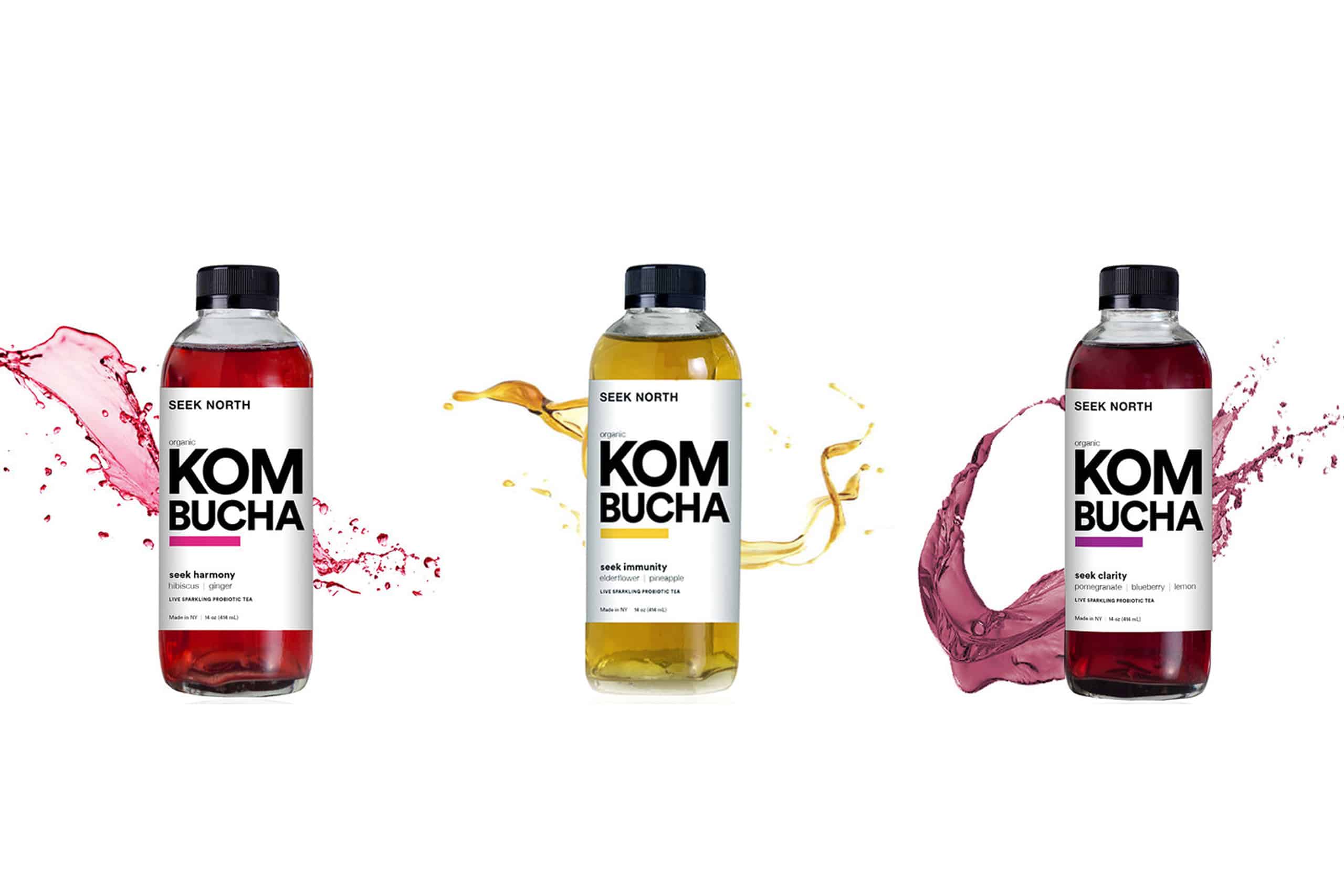 Read more about the article Seek North Kombucha Now Available