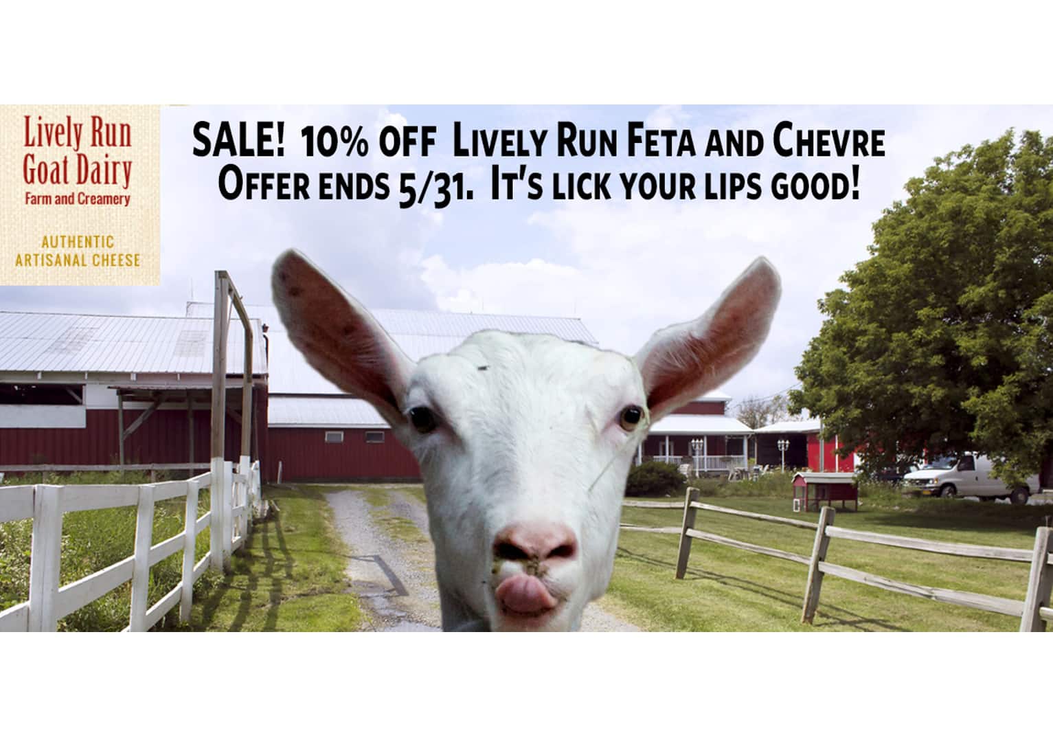 You are currently viewing Sale on Lively Run Goat Cheese