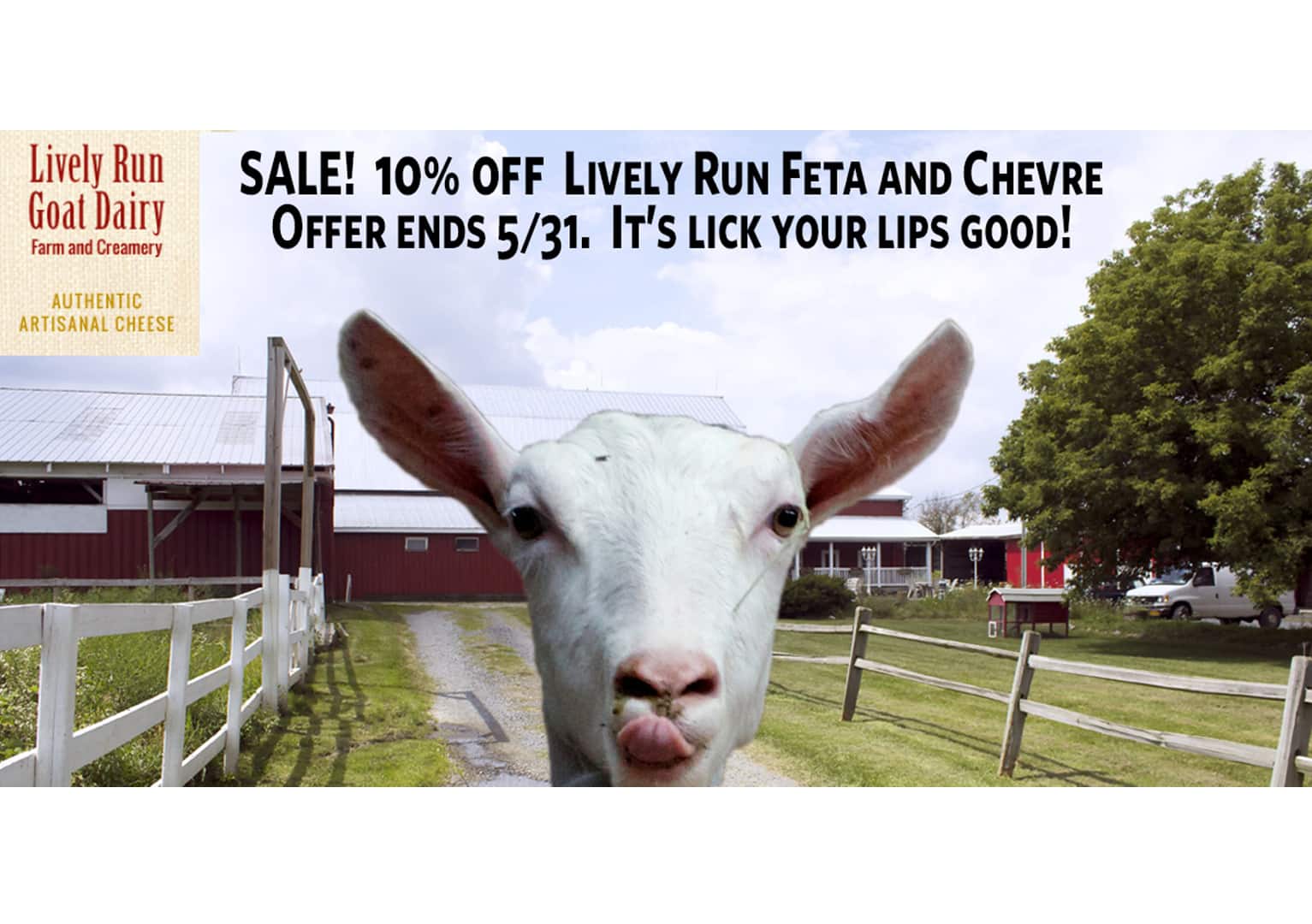 Read more about the article Sale on Lively Run Goat Cheese