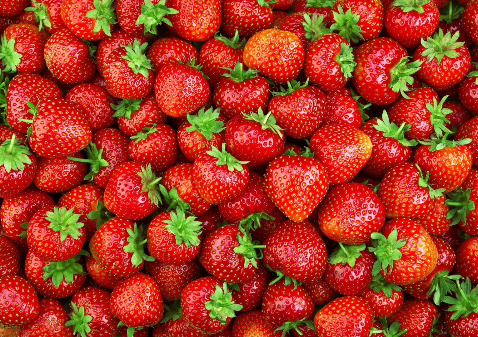 Read more about the article Fresh Local Strawberries Available!