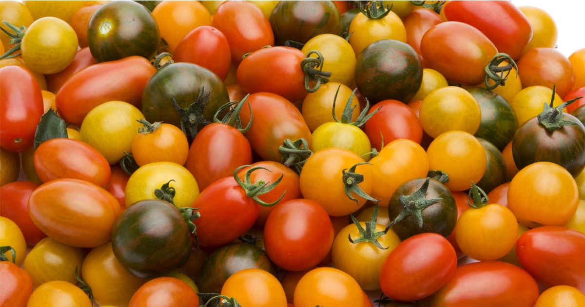 You are currently viewing It’s Tomato Season!