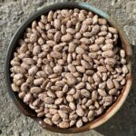Beans, Pinto NYS Organic   25#