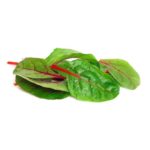 Chard, Baby Red Leaf   3#