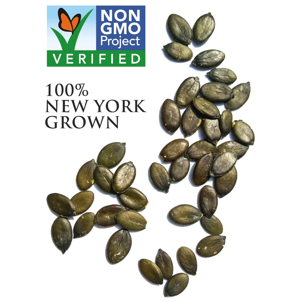 Pumpkin Seeds, NYS Raw, Organic  25#