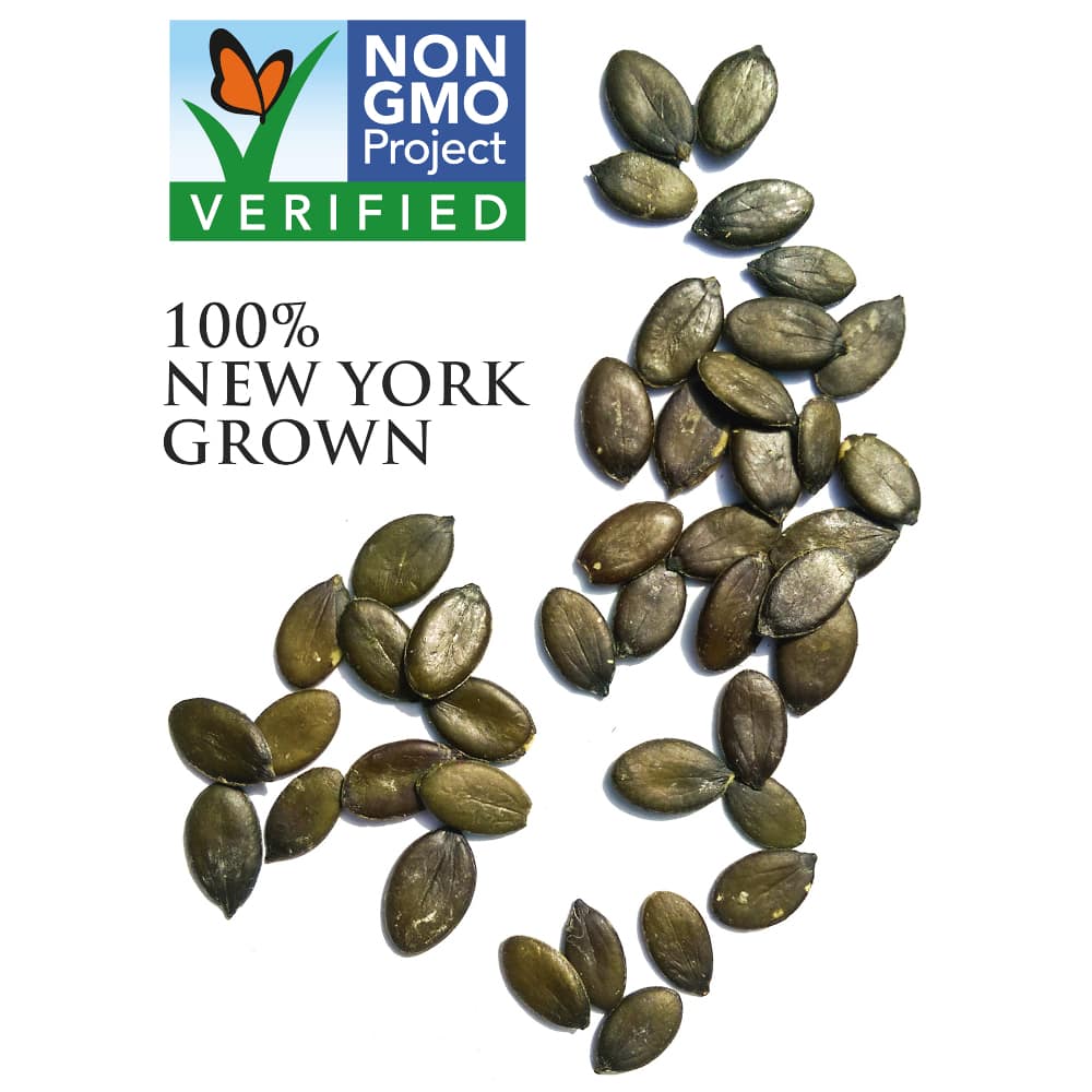 Pumpkin Seeds, NYS Raw (Grade B) 25#