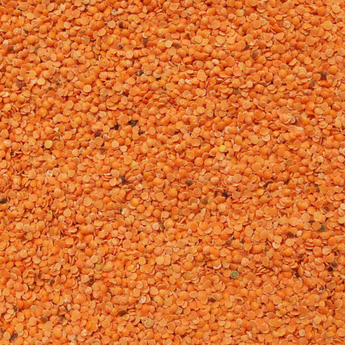 Lentils, Red Split, Organic 25#