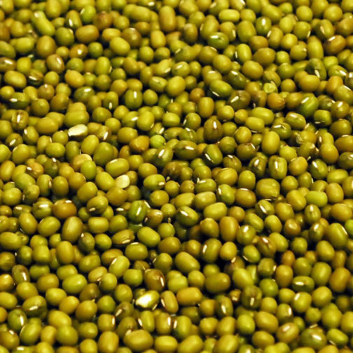 Beans, Mung, Organic, 25#