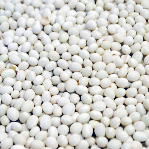 Beans, Navy, Organic 25#