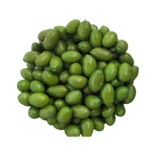 Olives, Cerignola Green 'GGG' 2/6.6#