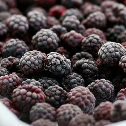 Blackberries, IQF, No Sugar 2/5#