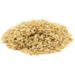 Einkorn Berries, Organic   25#