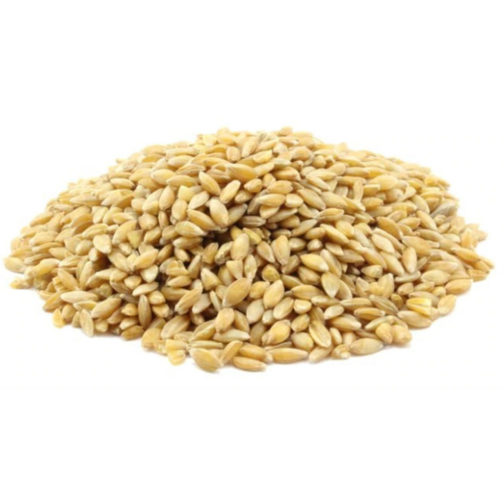 Einkorn Berries, Organic 25#