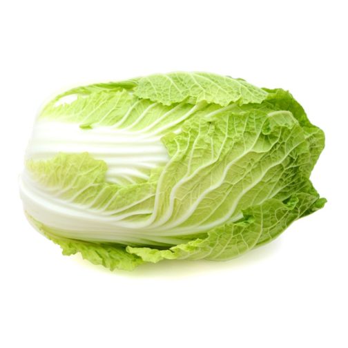 Cabbage, Napa Green OG 40#
