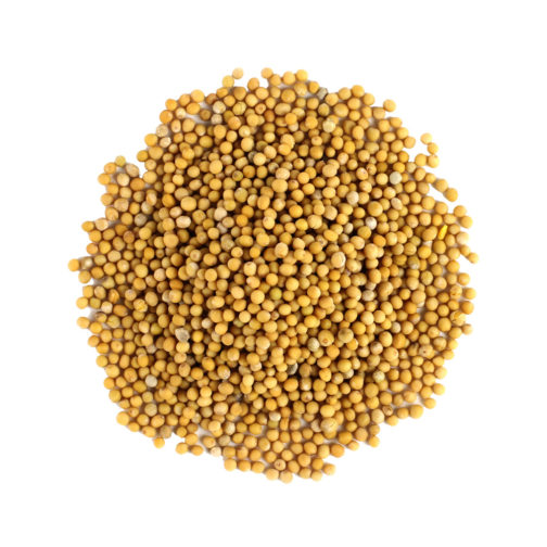 Mustard Seed, Yellow, Whole Organic 1#