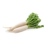 Daikon, Long White OG   20#