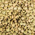 Lentils, Brown/Green   25#