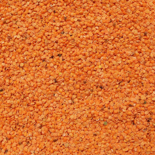 Lentils, Red Split 25#