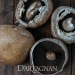 Mushrooms, Portabella Caps, Fresh   3#