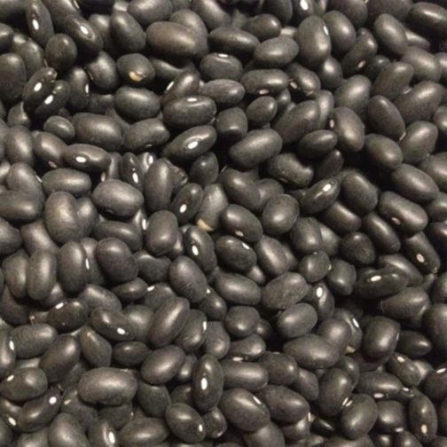 Beans, Black Turtle 50#