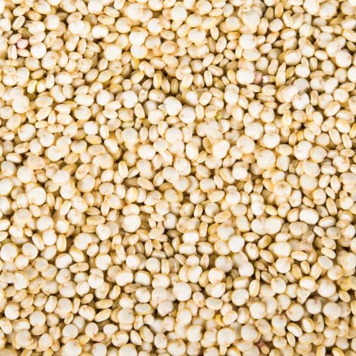Quinoa, White Organic 25#