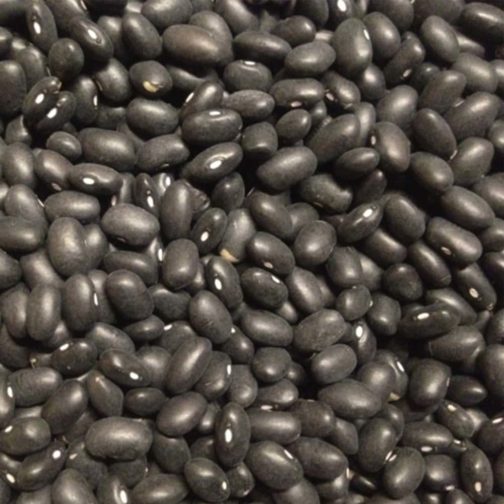 Beans, Black NYS Organic 28 oz