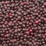 Cherries, Sour, Frozen, Red Tart Pitted IQF  40#