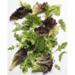 Mesclun Mix   3#