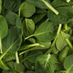 Tatsoi, Green   3#