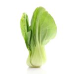 Bok Choi, Baby – Medium Pack   ~10#