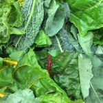 Greens, Braising/Saute – Large Pack   10#