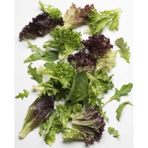 Mesclun Mix - Large Pack 12#
