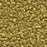 Pumpkin Seeds AA, Organic   2/27.5#