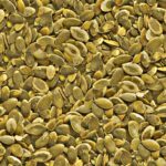 Pumpkin Seeds AA, Organic   5.5#