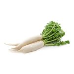 Radish, Long White Daikon OG   20#