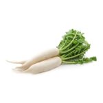 Daikon, White Long OG   20#