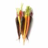 Carrots, Rainbow - Bulk Pack OG 25#