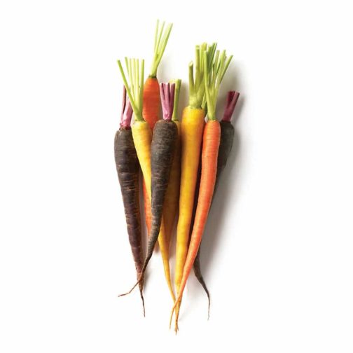 Carrots, Rainbow - Bulk Pack OG 25#