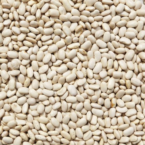 Beans, Kidney White (Cannellini), Organic 25#