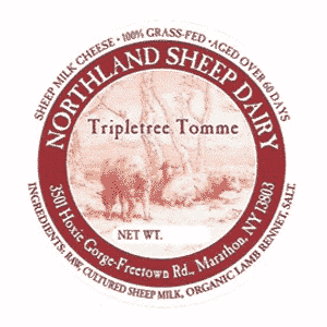 Northland Sheep Dairy