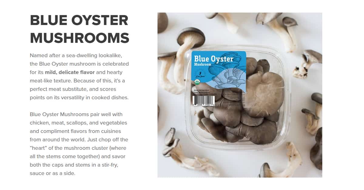 Read more about the article Leep Foods Mushrooms…Coming Soon!