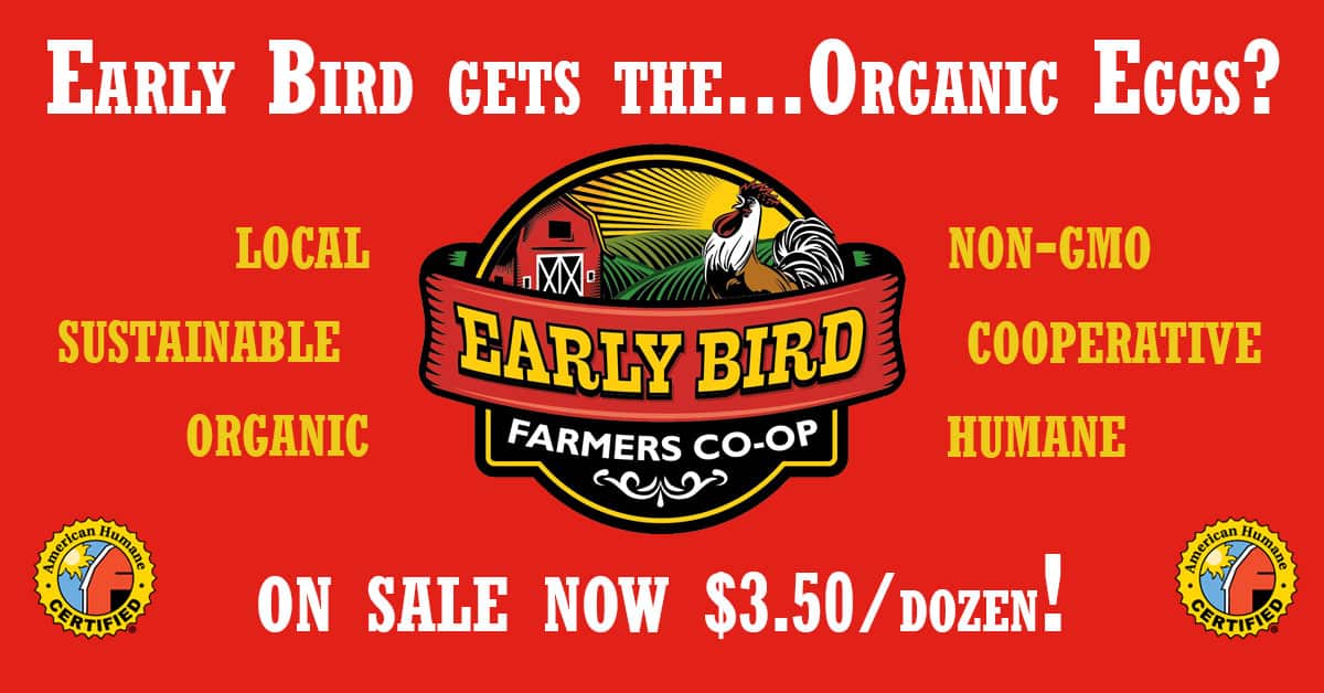 Read more about the article Introducing Early Bird Farms