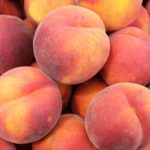 Peach Season Arrives!