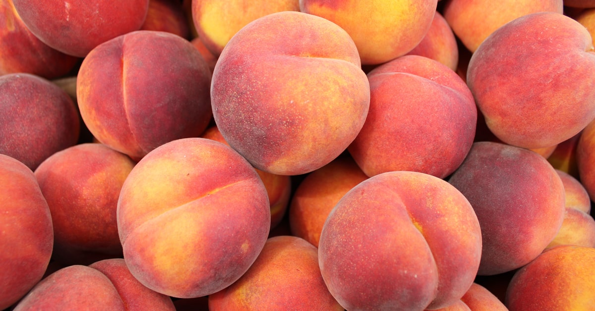 Read more about the article Peach Season Arrives!