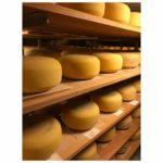 ShortRound Cheese, 1/2 wheel, ~6#   $/#