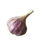 Garlic, Chesnok Red   10#