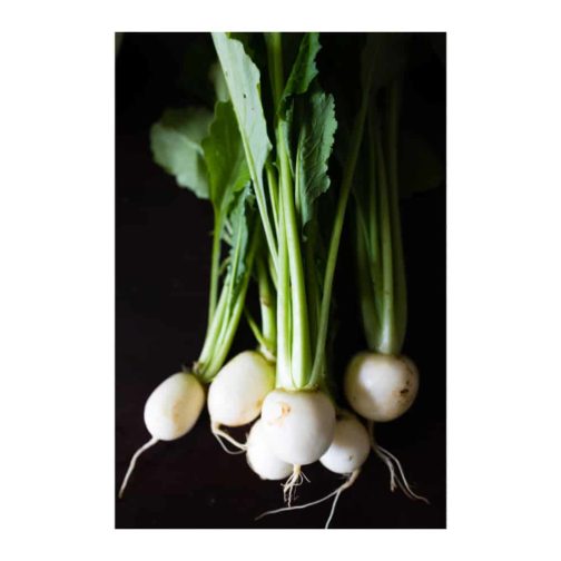 Turnips, Baby Hakurei Salad - Bunched OG   12ct
