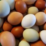 Eggs, Pasture-raised, Multicolor, Nest Run 15/1doz