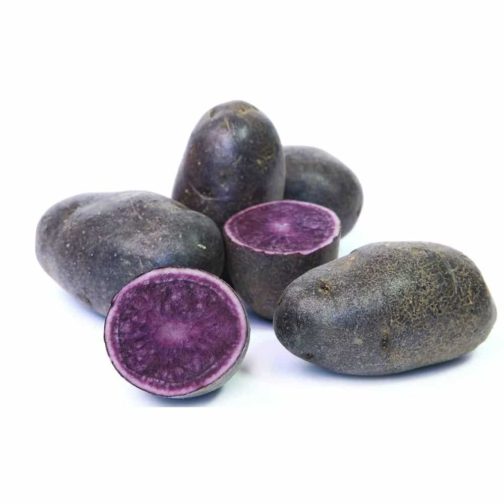 Potatoes, Adirondack Blue - Medium Pack OG   20#